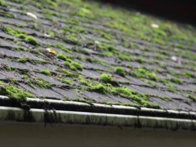 Stevenage roof moss remover