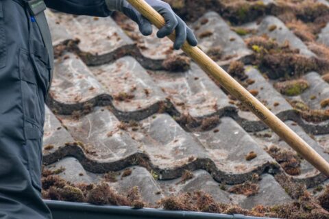 Roof Moss Removal Stevenage SG