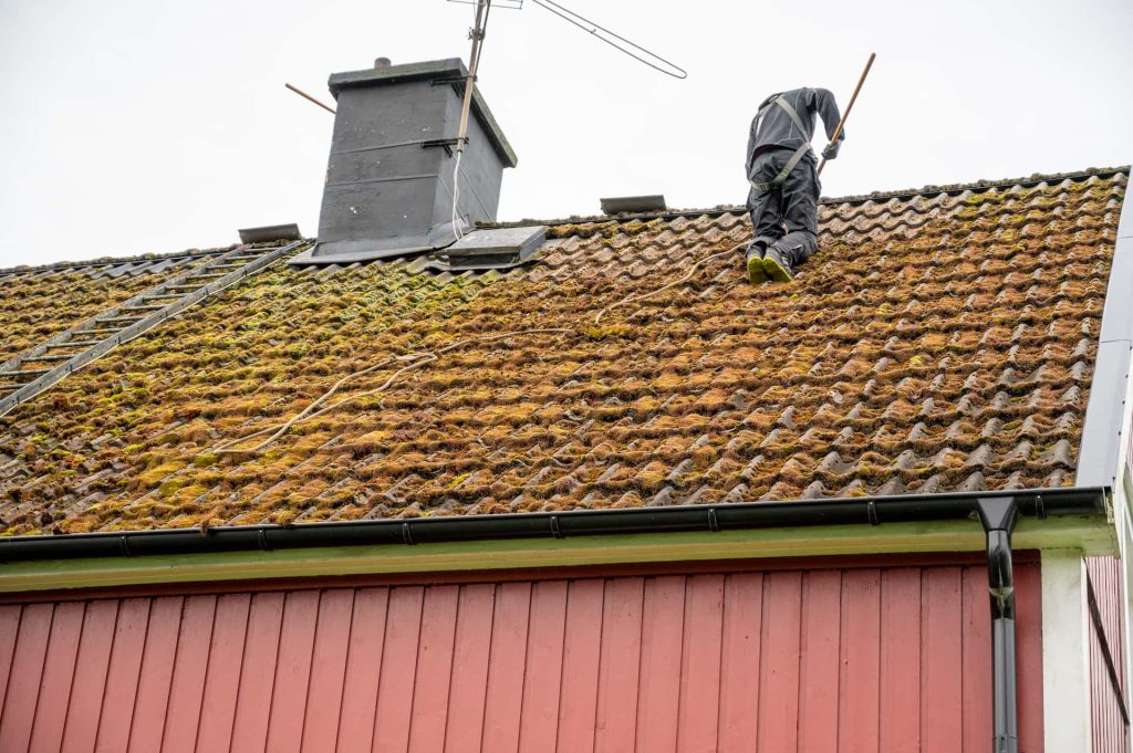 Roof moss removal services St. Albans