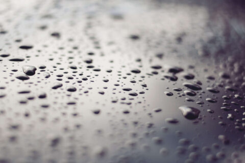 Professional Damp Proofing in Welwyn Garden City